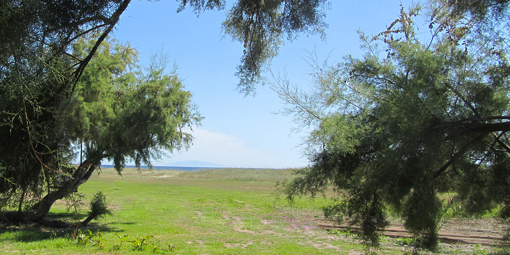 Le Miami Corsica - Poggio-Mezzana visuel 2/9 Le Miami Corsica - Poggio-Mezzana visuel 2/9