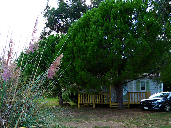 Le Miami Corsica - Poggio-Mezzana visuel 9/9 Le Miami Corsica - Poggio-Mezzana visuel 9/9