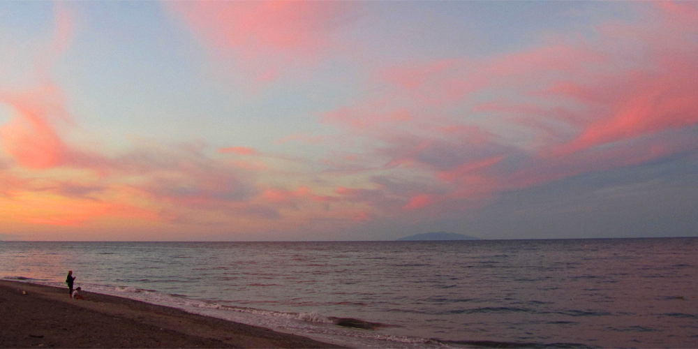 Le Miami Corsica - Poggio-Mezzana visuel 6/9 Le Miami Corsica - Poggio-Mezzana visuel 6/9