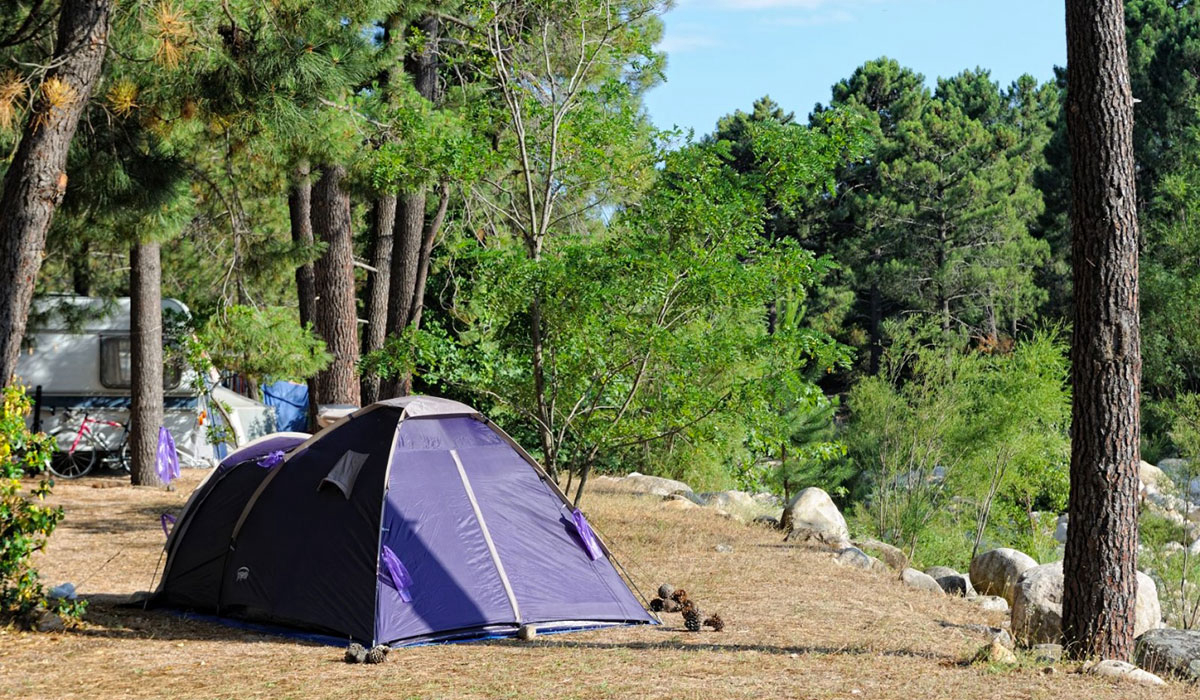 Mulinacciu Corsica - Lecci visuel 2/3 Mulinacciu Corsica - Lecci visuel 2/3