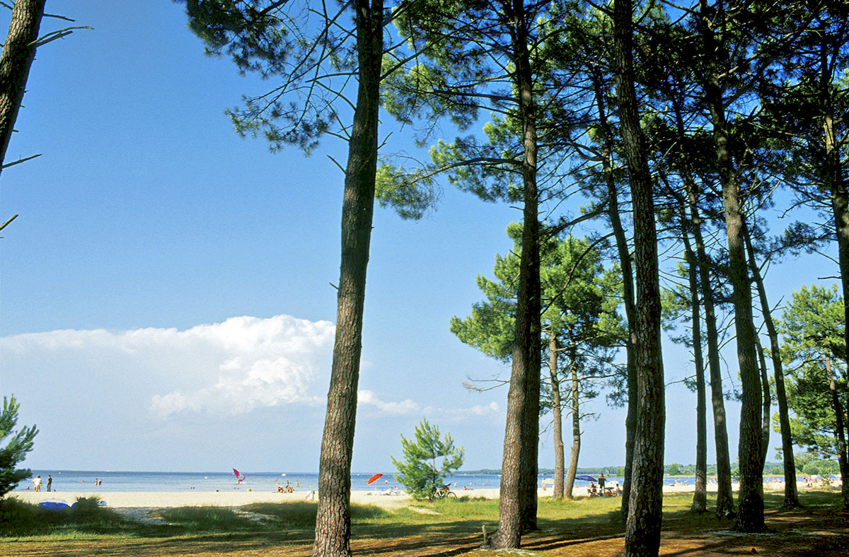 Campéole Navarrosse Plage Aquitaine - Biscarrosse visuel 16/38 Campéole Navarrosse Plage Aquitaine - Biscarrosse visuel 16/38