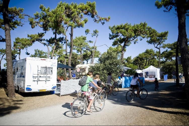 La Vendette Pays de Loire - Noirmoutier-en-Île visuel 2/8 La Vendette Pays de Loire - Noirmoutier-en-Île visuel 2/8