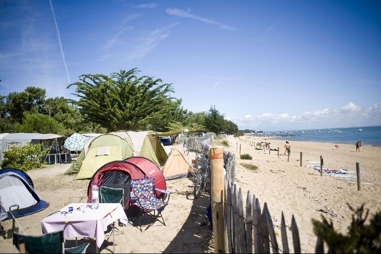 La Vendette Pays de Loire - Noirmoutier-en-Île visuel 7/8 La Vendette Pays de Loire - Noirmoutier-en-Île visuel 7/8