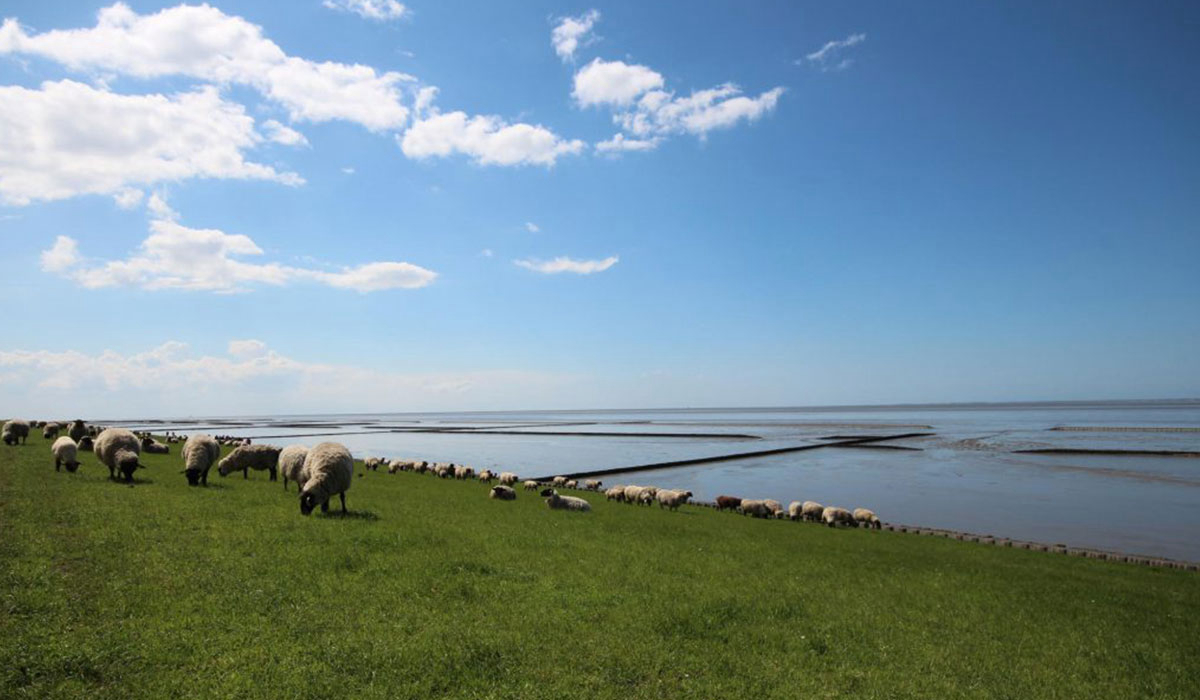 Norddeich Nedersaksen - Noord visuel 1/3 Norddeich Nedersaksen - Noord visuel 1/3