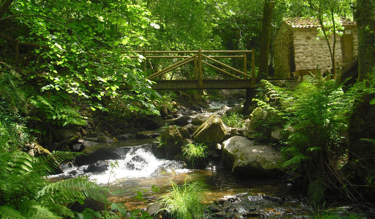 O Homem Verde Wildglamping Centrum - Spinaal visuel 1/5 O Homem Verde Wildglamping Centrum - Spinaal visuel 1/5
