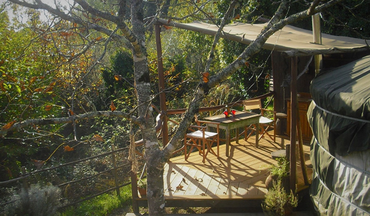 O Homem Verde Wildglamping Centrum - Spinaal visuel 2/5 O Homem Verde Wildglamping Centrum - Spinaal visuel 2/5