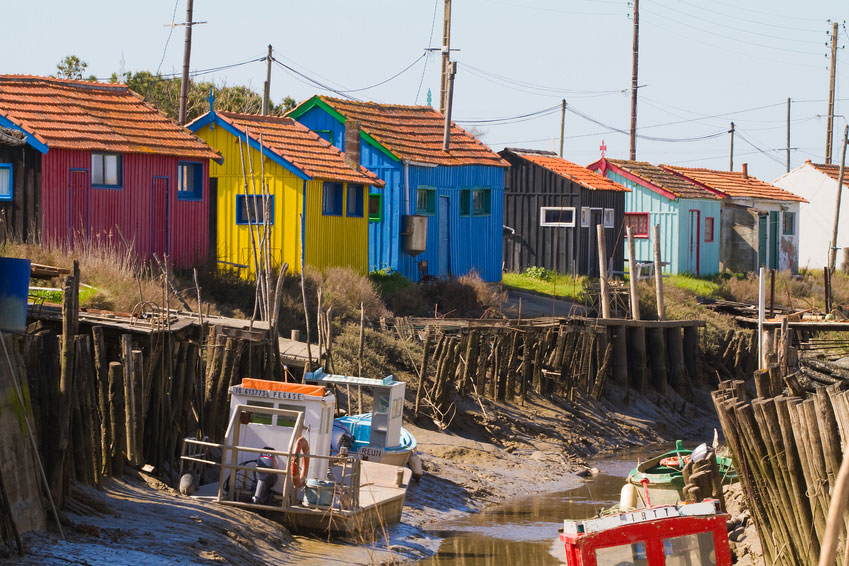 Les Chenes Verts Poitou-Charentes - Dolus d'Oléron visuel 1/1 Les Chenes Verts Poitou-Charentes - Dolus d'Oléron visuel 1/1
