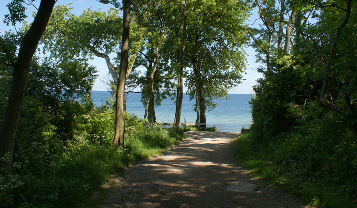 Ostsee Katharinenhof Sleeswijk-Holstein - Fehmarn visuel 1/4 Ostsee Katharinenhof Sleeswijk-Holstein - Fehmarn visuel 1/4
