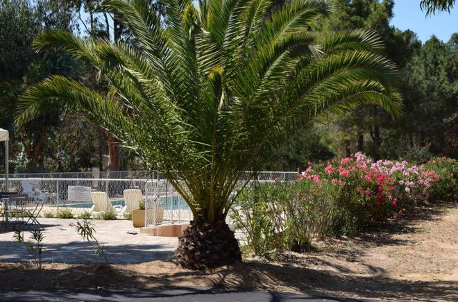 Paradella Corsica - Calenzana visuel 3/7