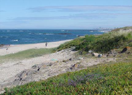 Parque de Campismo Sol de Vila Chã Noorden - Vila do Conde visuel 3/3 Parque de Campismo Sol de Vila Chã Noorden - Vila do Conde visuel 3/3