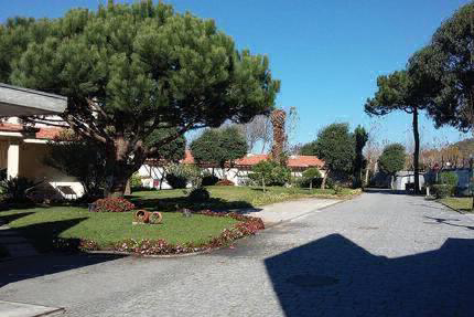 Parque de Campismo Sol de Vila Chã Noorden - Vila do Conde visuel 2/3 Parque de Campismo Sol de Vila Chã Noorden - Vila do Conde visuel 2/3