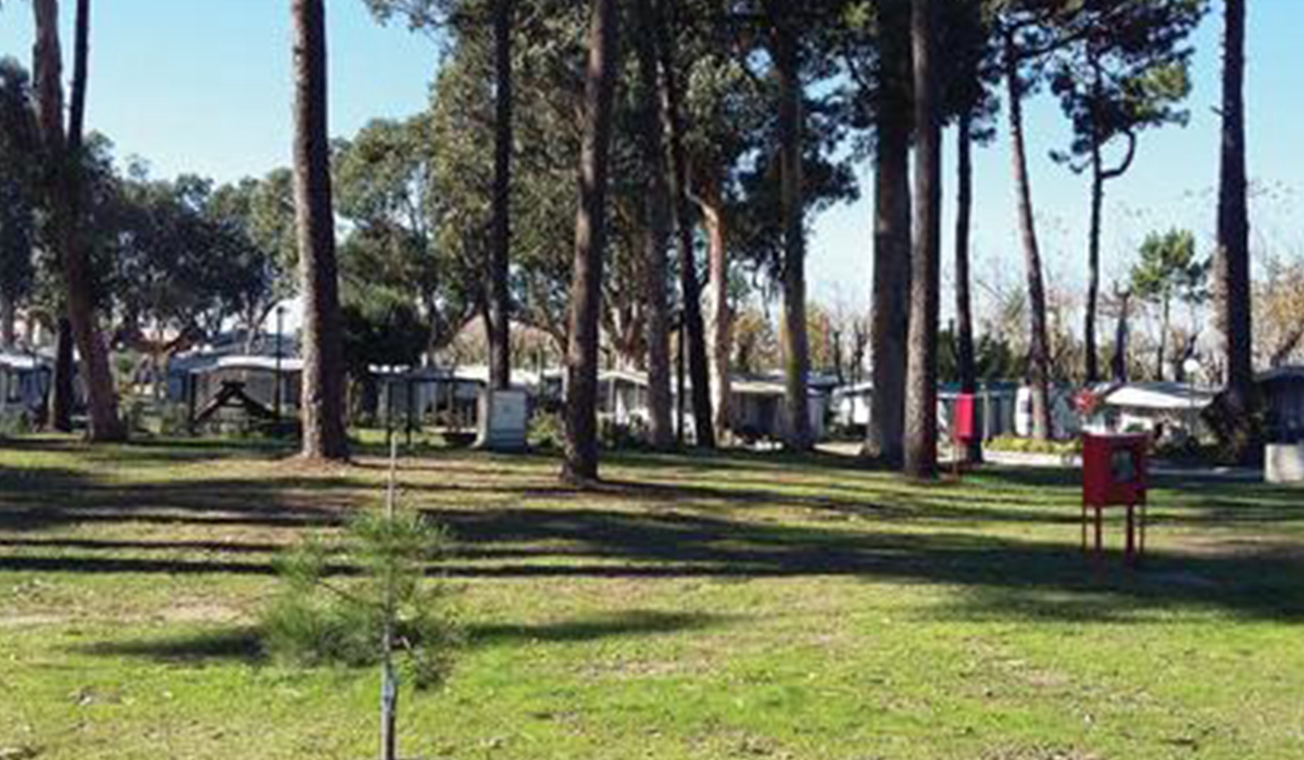 Parque de Campismo Sol de Vila Chã Noorden - Vila do Conde visuel 1/3 Parque de Campismo Sol de Vila Chã Noorden - Vila do Conde visuel 1/3