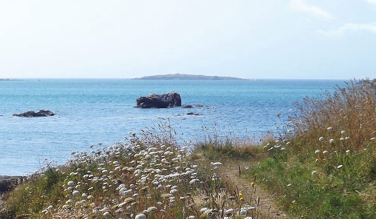Penn-Enez Bretagne - Landéda visuel 1/2 Penn-Enez Bretagne - Landéda visuel 1/2