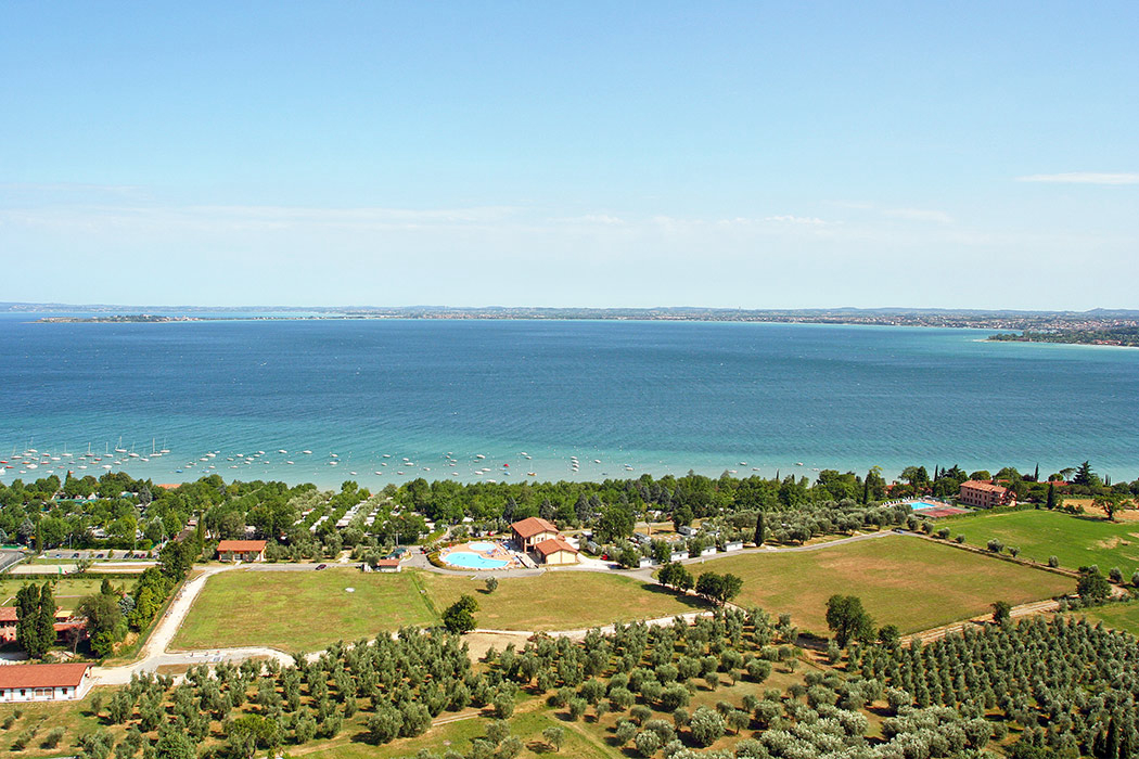 Piantelle Lombardije - Moniga del Garda visuel 1/7 Piantelle Lombardije - Moniga del Garda visuel 1/7