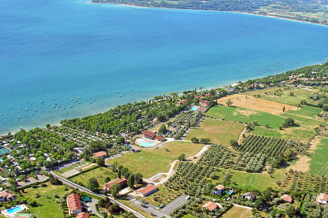 Piantelle Lombardije - Moniga del Garda visuel 2/7 Piantelle Lombardije - Moniga del Garda visuel 2/7