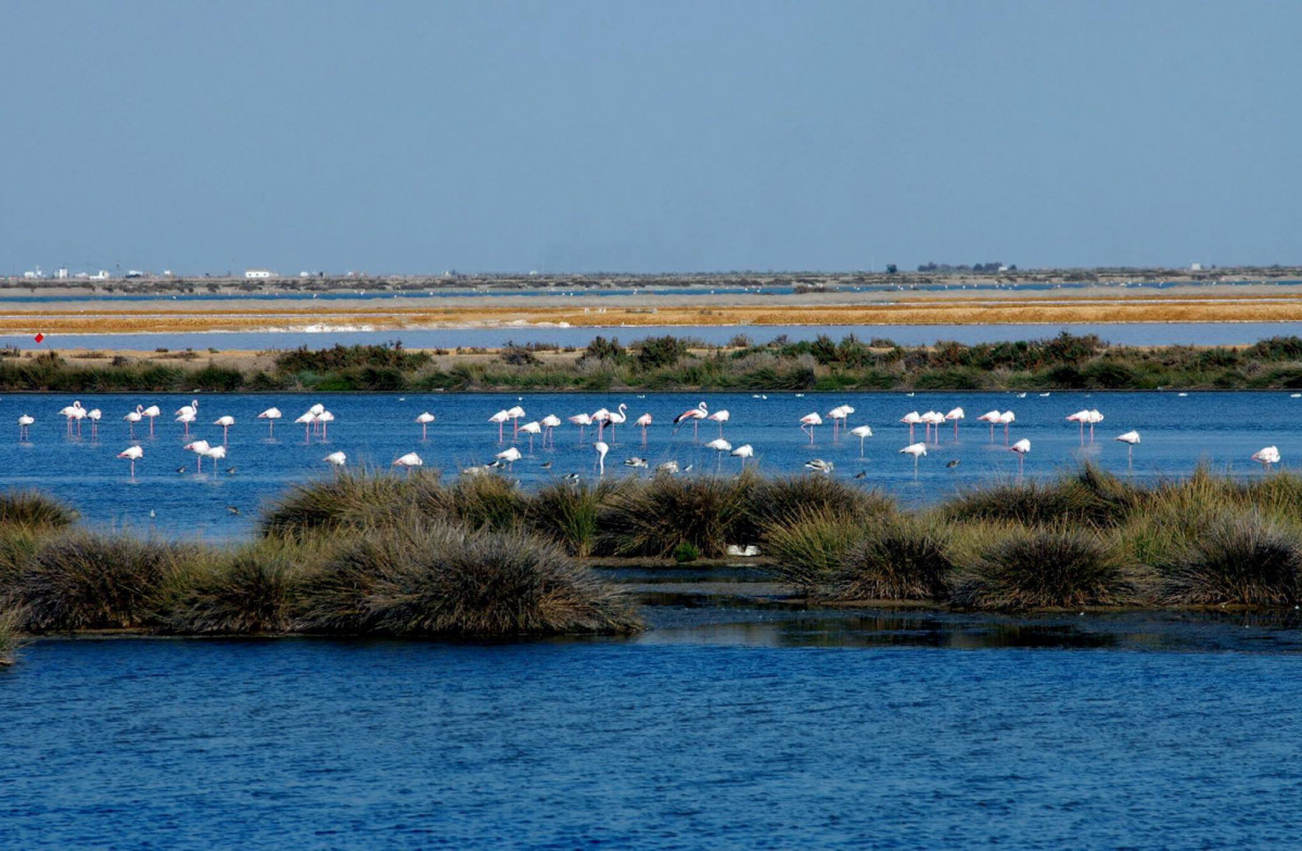 Playa la Bota Andalousië - Punta Umbrië visuel 3/3