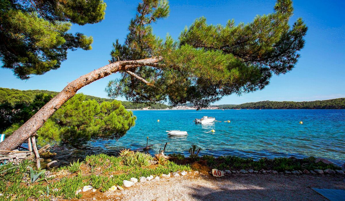 Poljana Primorje-Gorski Kotar - Mali Losinj visuel 1/5 Poljana Primorje-Gorski Kotar - Mali Losinj visuel 1/5