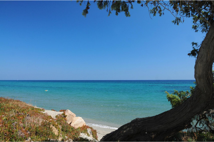 Riva Bella Domaine Naturiste - Corsica - Aléria visuel 2/9 Riva Bella Domaine Naturiste - Corsica - Aléria visuel 2/9