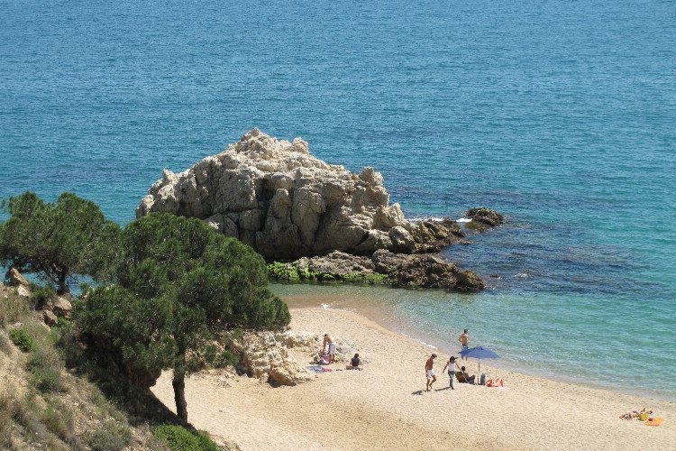 Roca Grossa Costa Brava - Calella visuel 6/7 Roca Grossa Costa Brava - Calella visuel 6/7