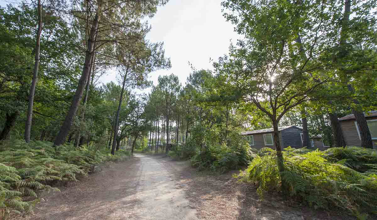 Soustons Village Aquitaine - Soustons visuel 20/25 Soustons Village Aquitaine - Soustons visuel 20/25