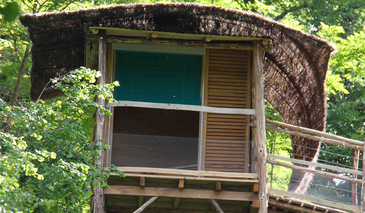 Domaine Terragora Lodges Pays de Loire - Les Épesses visuel 9/12 Domaine Terragora Lodges Pays de Loire - Les Épesses visuel 9/12