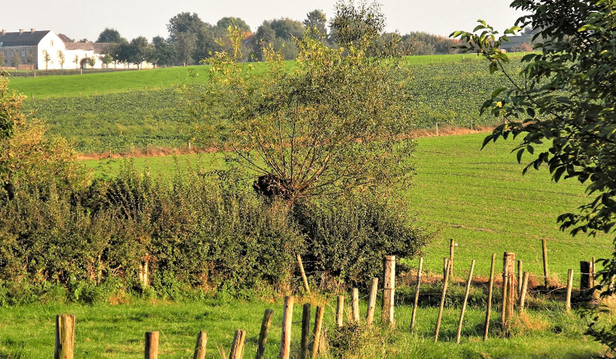 Vakantie Boerderij Bruisterbosch Limburg - sint geertruid visuel 1/3 Vakantie Boerderij Bruisterbosch Limburg - sint geertruid visuel 1/3
