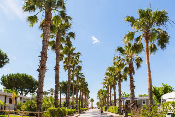 Vendrell Platja Costa Dorada - Coma-ruga visuel 5/7 Vendrell Platja Costa Dorada - Coma-ruga visuel 5/7