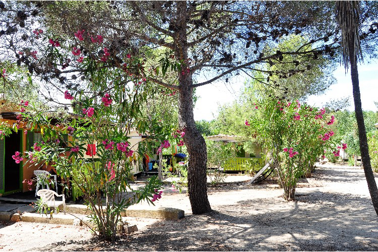 Villaggio Sos Flores Sardinië - Tortoli visuel 5/7 Villaggio Sos Flores Sardinië - Tortoli visuel 5/7