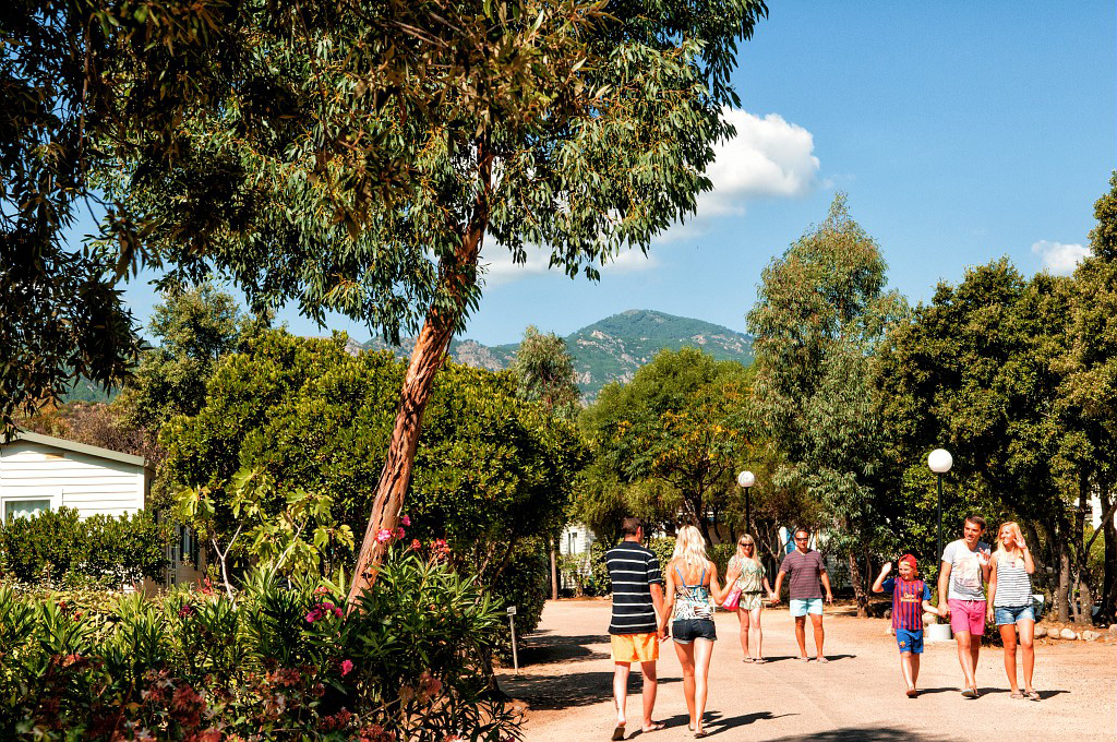 Acqua e Sole Corsica - Sainte-Lucie-de-Porto-Vecchio visuel 15/15 Acqua e Sole Corsica - Sainte-Lucie-de-Porto-Vecchio visuel 15/15