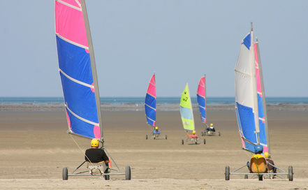 Ami-ami Nord-Pas De Calais - Berck visuel 1/1 Ami-ami Nord-Pas De Calais - Berck visuel 1/1