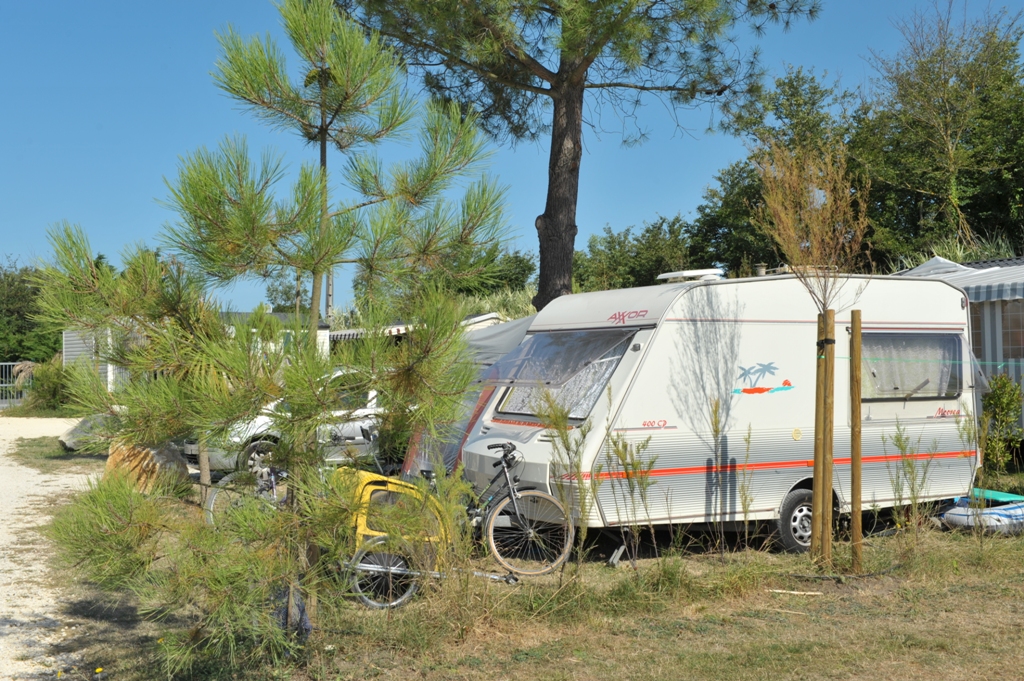 ANTIOCHE D'OLERON Poitou-Charentes - La Brée-les-Bains visuel 7/10