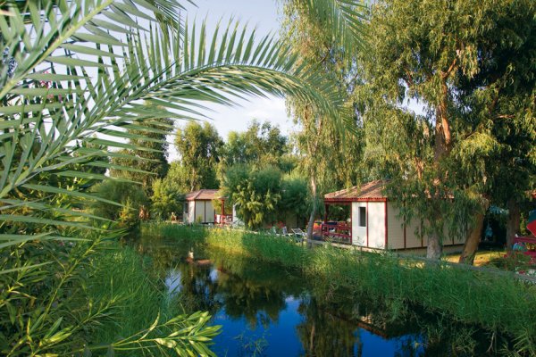 Arinella Bianca Corsica - Ghisonaccia visuel 8/17