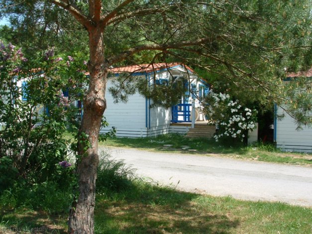 Au Petit Port De L'houmeau Poitou-Charentes - L'Houmeau visuel 8/12