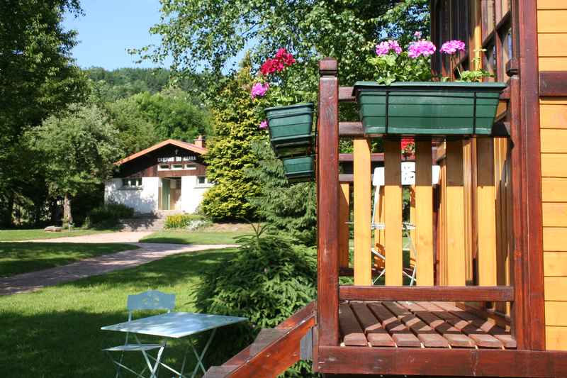 Barba Lotharingen - Rehaupal visuel 5/5 Barba Lotharingen - Rehaupal visuel 5/5
