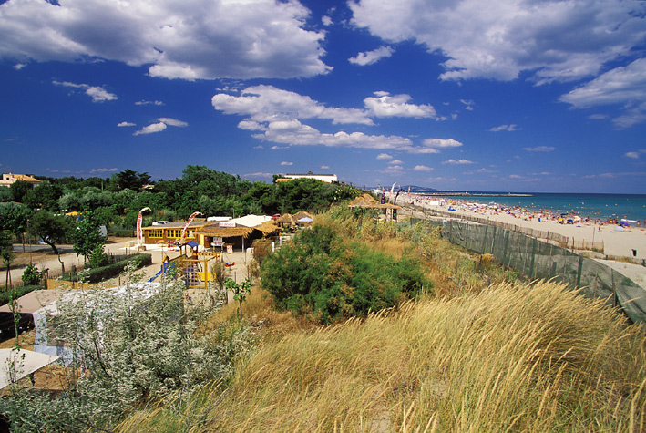 Beauregard Plage Languedoc-Roussillon - Marseillan visuel 1/8 Beauregard Plage Languedoc-Roussillon - Marseillan visuel 1/8