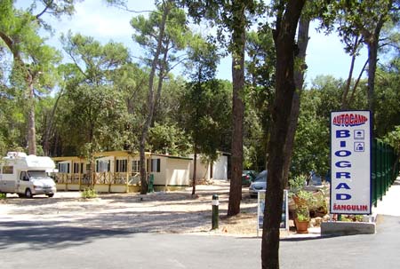 Biograd Dalmatië - Biograd visuel 2/8 Biograd Dalmatië - Biograd visuel 2/8