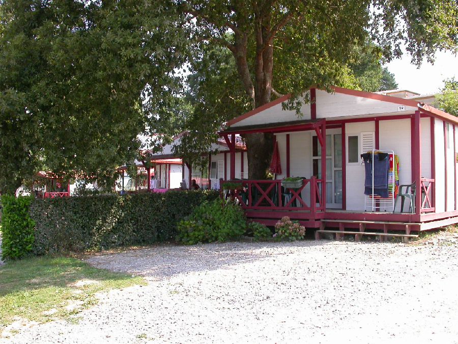 Biper Gorri Aquitaine - Espelette visuel 3/4