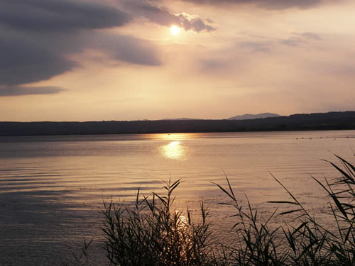 Blu International Lazio - Bolsena visuel 3/9 Blu International Lazio - Bolsena visuel 3/9