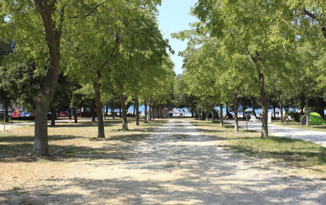 Borik Dalmatië - Zadar visuel 9/10 Borik Dalmatië - Zadar visuel 9/10