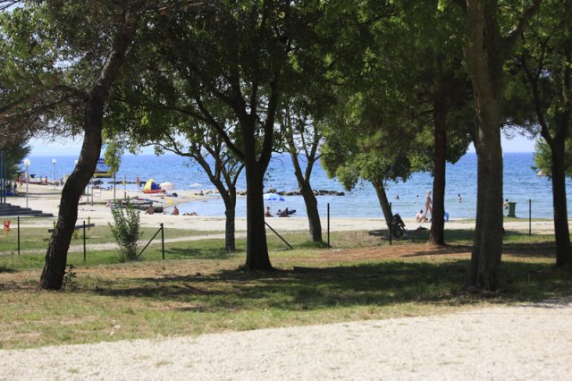 Borik Dalmatië - Zadar visuel 10/10 Borik Dalmatië - Zadar visuel 10/10