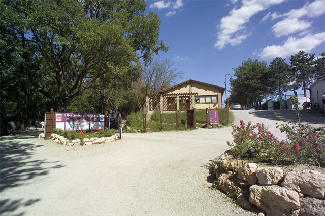 Boschetto di Piemma Toscane - San Gimignano visuel 9/10