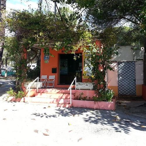 Buganvilla Andalousië - Marbella visuel 6/6