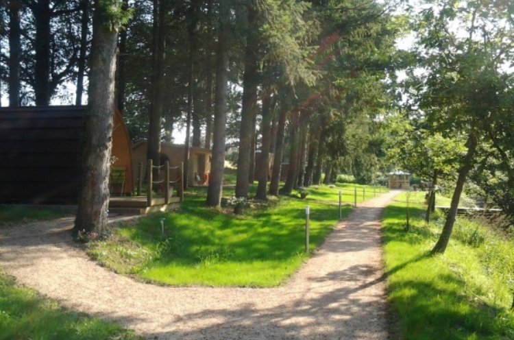 Cabanes de la Petite Sapinière Auvergne - Yousac visuel 4/7 Cabanes de la Petite Sapinière Auvergne - Yousac visuel 4/7