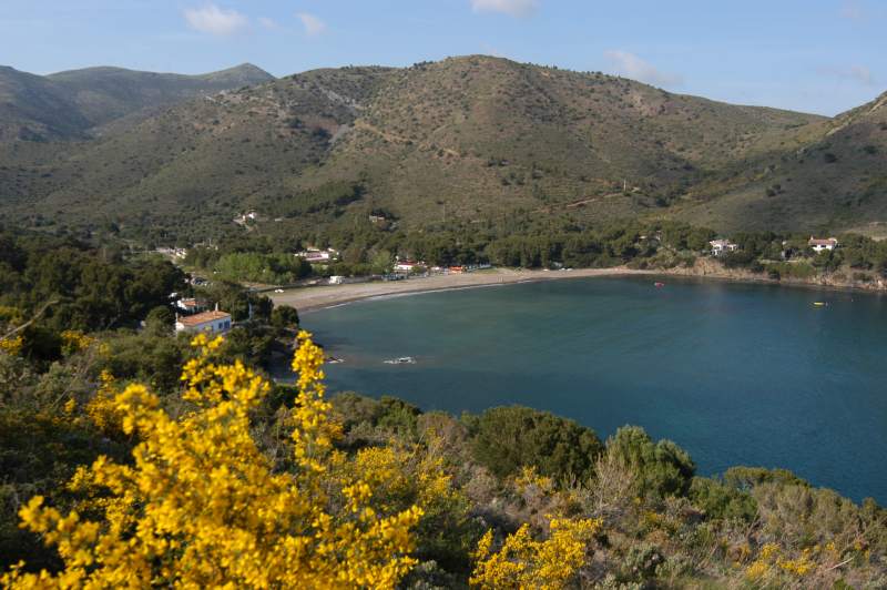 Cala Montjoi Costa Brava - Rozen visuel 6/6 Cala Montjoi Costa Brava - Rozen visuel 6/6