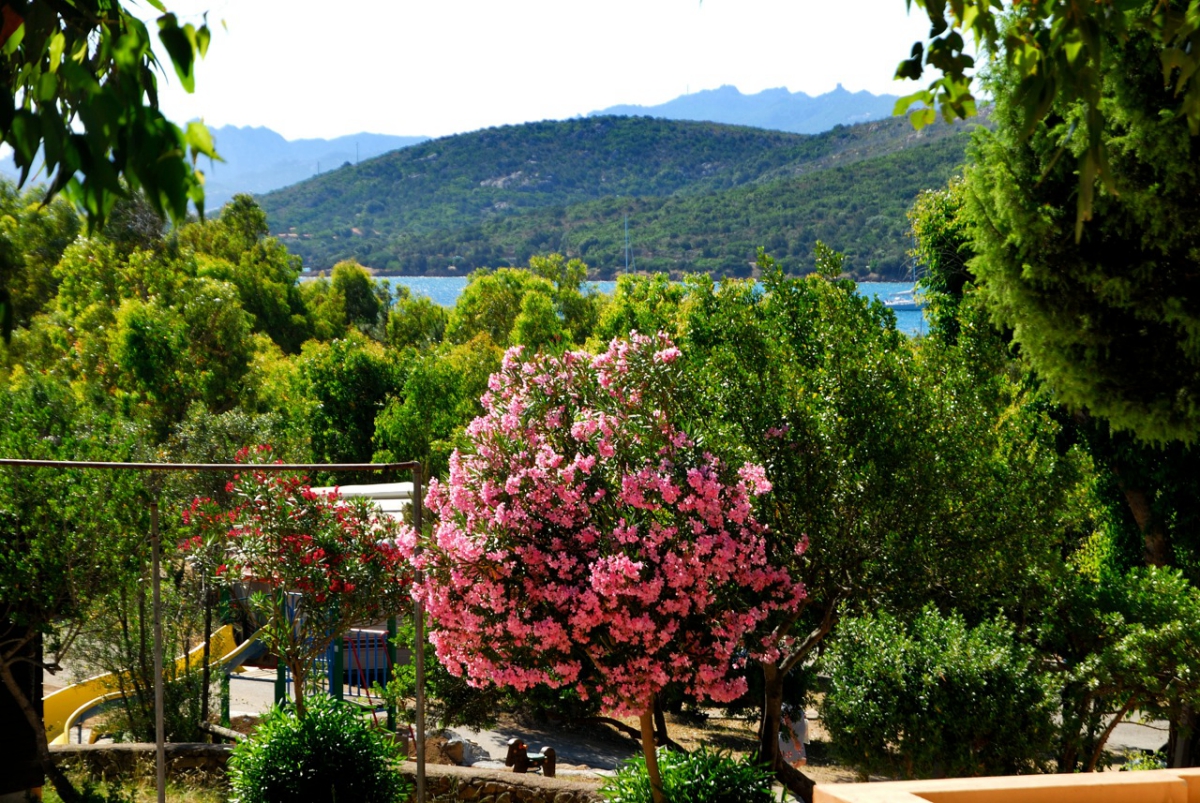 Capo d'Orso Sardinië - Palau visuel 3/10