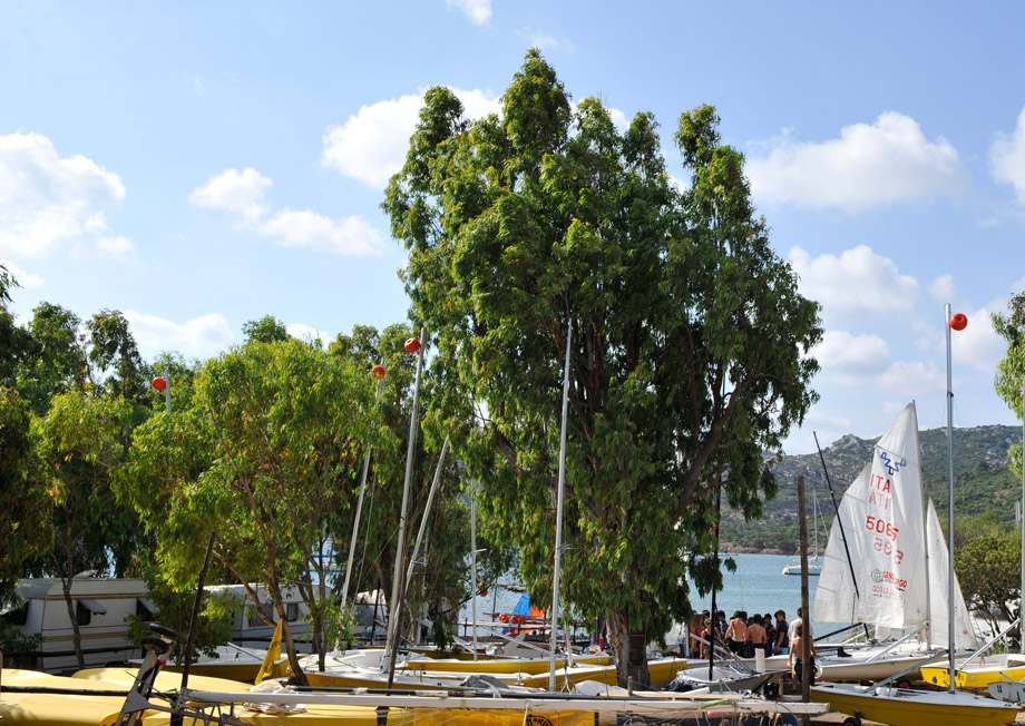 Capo d'Orso Sardinië - Palau visuel 9/10