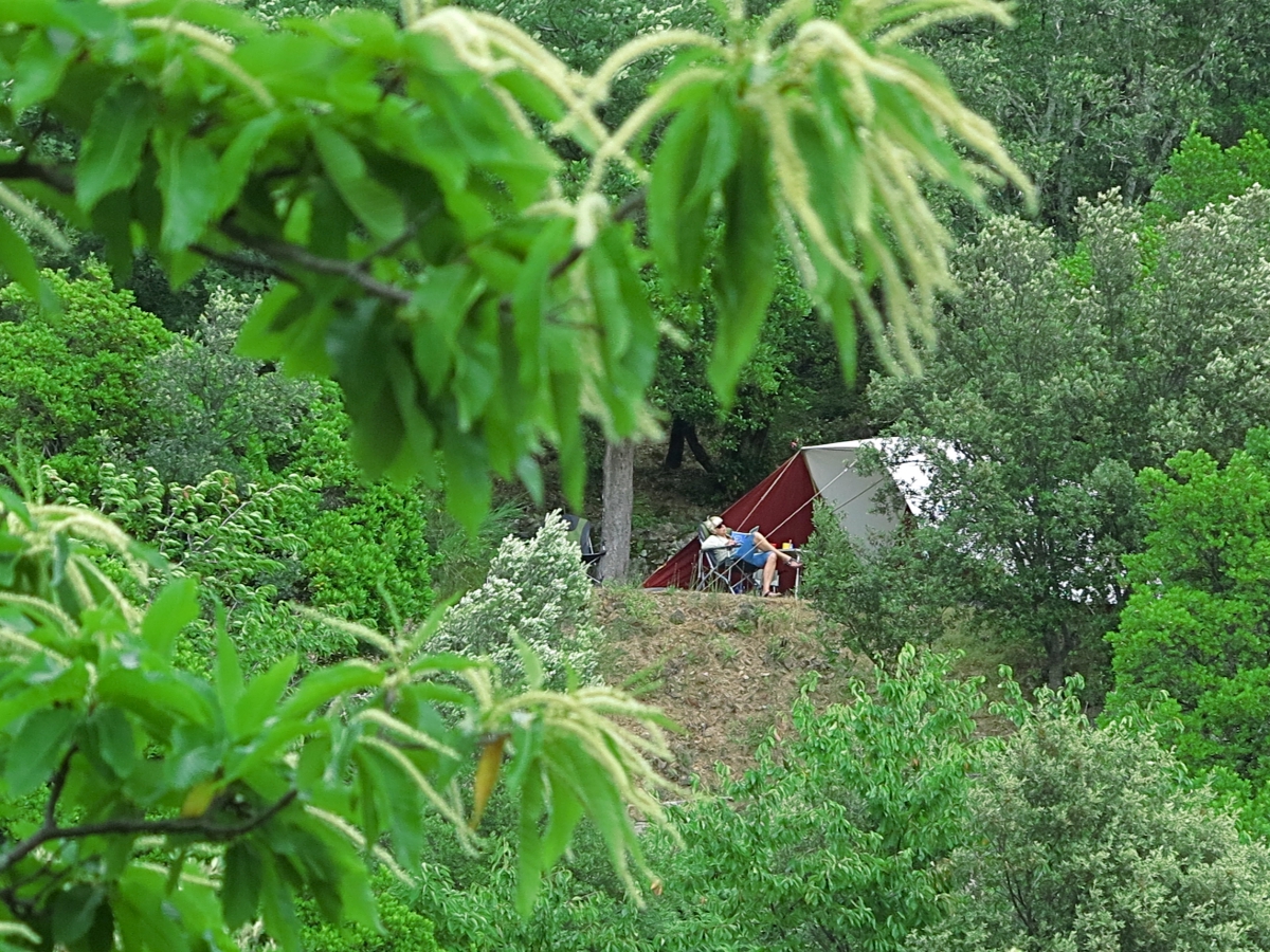 Cevennes Provence Languedoc-Roussillon - Anduze visuel 4/5 Cevennes Provence Languedoc-Roussillon - Anduze visuel 4/5