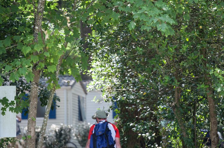 Château de la Forêt Pays de Loire - Saint-Julien-des-Landes visuel 9/10 Château de la Forêt Pays de Loire - Saint-Julien-des-Landes visuel 9/10