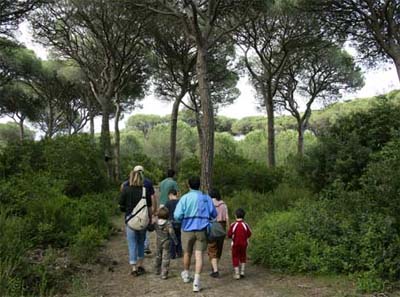 Cieloverde Toscane - Marina di Grosseto visuel 4/11 Cieloverde Toscane - Marina di Grosseto visuel 4/11