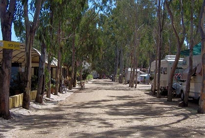 Cigno Bianco Sardinië - Tortolì visuel 4/7 Cigno Bianco Sardinië - Tortolì visuel 4/7